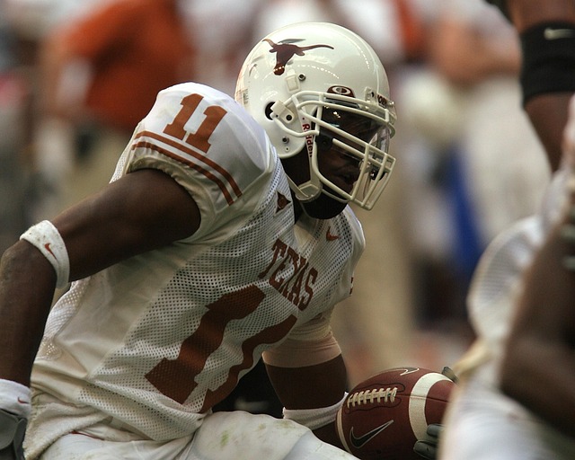 寻找新的领 寻找新的领