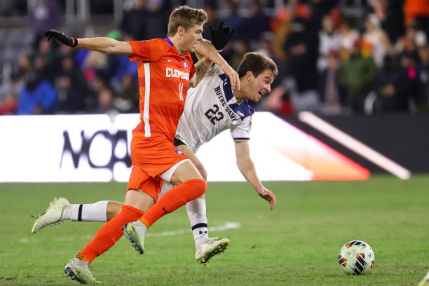 费内巴切的 费内巴切的