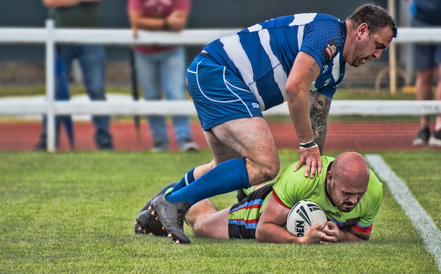 布林克的盖 布林克的盖